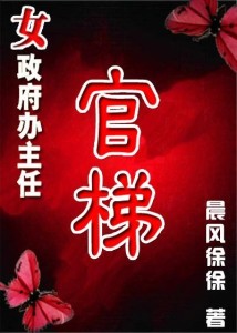 官梯最新章，权力与责任的博弈与交织